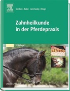 Bake, EASLEY, Gordon J. Baker, EASLEY, Jack Easley, Gordo J Baker - Zahnheilkunde in der Pferdepraxis