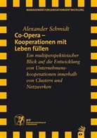 Alexander Schmidt - Co-Opera, Kooperationen mit Leben füllen