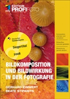 Beate Stipanits, Gerhard Zimmert - Bildkomposition und Bildwirkung in der Fotografie