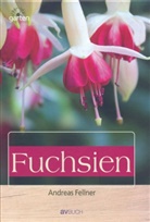 Andreas Fellner - Fuchsien
