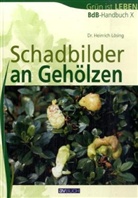Heinrich Lösing - Schadbilder an Gehölzen