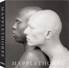 Arthur Coleman Danto, Robert Mapplethorpe, Holbor, Leva - Mapplethorpe