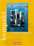 Raine Bamberg, Antj Erle, Matthias u a Felsch - Pluspunkt Mathematik, Ausgabe Hauptschule Baden-Württemberg - 2: Pluspunkt kompakt - Orientierungswissen, 6. Schuljahr