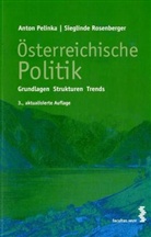 Anton Pelinka, Sieglinde Rosenberger - Österreichische Politik