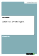 Quirin Bauer, Quirin J. Bauer - Arbeits- und Erwerbslosigkeit