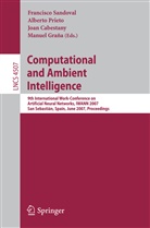 Joan Cabestany, Joan Cabestany et al, Manuel Grana, Manuel Graña, Albert Prieto, Alberto Prieto... - Computational and Ambient Intelligence