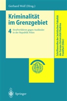 Gerhar Wolf, Gerhard Wolf - Kriminalität im Grenzgebiet - 4: Strafverfahren gegen Ausländer in der Republik Polen