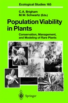 Christ A Brigham, Christy A Brigham, Christy A. Brigham, Brigham Christy A., Mark W. Schwartz, W Schwartz... - Population Viability in Plants