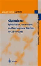 Arnol E Stütz, Arnold E Stütz, A. E. Stütz, Arnold E. Stütz - Glycoscience