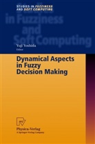 Yuj Yoshida, Yuji Yoshida - Dynamical Aspects in Fuzzy Decision Making