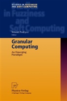 Witol Pedrycz, Witold Pedrycz - Granular Computing