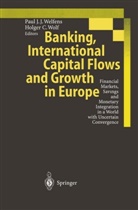 C Wolf, C Wolf, Pau J J Welfens, Paul J J Welfens, Paul J. J. Welfens, Holger C. Wolf - Banking, International Capital Flows and Growth in Europe