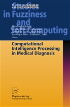 Ajita Jain, Ashlesha Jain, Lakhmi C. Jain, Sandhya Jain, Ashlesha Jain et al, Manfred Schmitt... - Computational Intelligence Processing in Medical Diagnosis