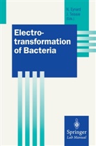 Natali Eynard, Natalie Eynard, Nathalie Eynard, Teissie, Teissie, Justin Teissie - Electrotransformation of Bacteria