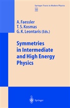 A. Faessler, G K Leontaris, T. S. Kosmas, T.S. Kosmas, G. K. Leontaris, G.K. Leontaris... - Symmetries in Intermediate and High Energy Physics