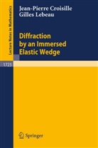 Jean-Pierr Croisille, Jean-Pierre Croisille, Gilles Lebeau - Diffraction by an Immersed Elastic Wedge