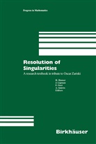 Herwig Hauser, Josep Lipman, Joseph Lipman, Frans Oort, Frans Oort et al, Adolfo Quiros... - Resolution of Singularities
