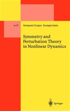 Giampaol Cicogna, Giampaolo Cicogna, Guiseppe Gaeta - Symmetry and Perturbation Theory in Nonlinear Dynamics
