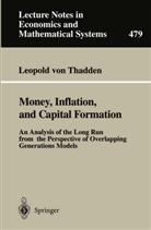 Leopold von Thadden - Money, Inflation, and Capital Formation