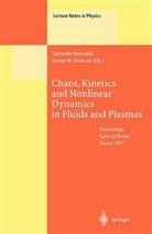 Sadruddi Benkadda, Sadruddin Benkadda, M Zaslavsky, M Zaslavsky, George M. Zaslavsky - Chaos, Kinetics and Nonlinear Dynamics in Fluids and Plasmas