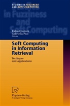 Fabi Crestani, Fabio Crestani, Pasi, Pasi, Gabriella Pasi - Soft Computing in Information Retrieval