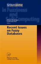 Glori Bordogna, Gloria Bordogna, Pasi, Pasi, Gabriella Pasi - Recent Issues on Fuzzy Databases