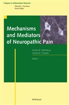 Annik B Malmberg, Annika B Malmberg, Sandra R. Chaplan, Annika B. Malmberg, R Chaplan, R Chaplan - Mechanisms and Mediators of Neuropathic Pain