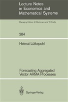Helmut Lütkepohl - Forecasting Aggregated Vector ARMA Processes