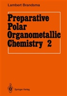 Lambert Brandsma - Preparative Polar Organometallic Chemistry