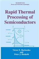 Victor Borisenko, Victor E Borisenko, Victor E. Borisenko, Peter J Hesketh, Peter J. Hesketh - Rapid Thermal Processing of Semiconductors