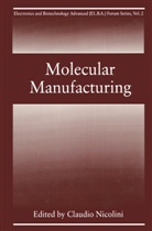 Nicolini, C Nicolini, C. Nicolini, Vakula, Vakula, Sergei Vakula - Molecular Manufacturing