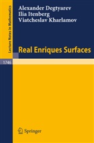 Alexande Degtyarev, Alexander Degtyarev, Ili Itenberg, Ilia Itenberg, Via Kharlamov, Viatcheslav Kharlamov - Real Enriques Surfaces