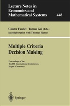 Günte Fandel, Günter Fandel, Gal, Gal, Tomas Gal - Multiple Criteria Decision Making