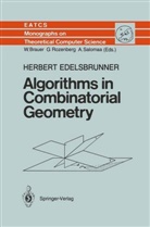 Herbert Edelsbrunner - Algorithms in Combinatorial Geometry