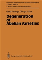 Ching-Li Chai, Ger Faltings, Gerd Faltings - Degeneration of Abelian Varieties