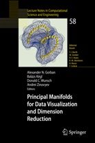 Donald C Wunsch et al, Alexander N. Gorban, Baláz Kégl, Balazs Kégl, Balázs Kégl, Donald C. Wunsch... - Principal Manifolds for Data Visualization and Dimension Reduction