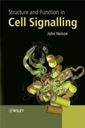 John Nelson, John D. Nelson, NELSON JOHN D - Structure and Function in Cell Signalling