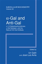 Avila, Avila, Jos¿uis Avila, José Luis Avila, José-Luis Avila, Ur Galili... - -Gal and Anti-Gal