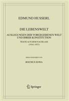 Edmund Husserl, Rochu Sowa, Rochus Sowa - Die Lebenswelt