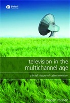 Mullen, M Mullen, Megan Mullen, Mullen Megan - TELEVISION IN THE MULTICHANNEL AGE