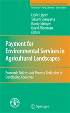 Leslie Lipper, Leslie Marie Lipper, Takum Sakuyama, Takumi Sakuyama, Randy Stringer, Randy Stringer et al... - Payment for Environmental Services in Agricultural Landscapes