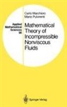 Carl Marchioro, Carlo Marchioro, M. Pulvirenti, Mario Pulvirenti - Mathematical Theory of Incompressible Nonviscous Fluids