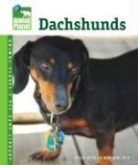 Sheila Webster Boneham, Sheila Webster Boneham Ph. D. - Dachshunds