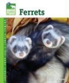 Vickie Mckimmey, Vicky McKimmey - Ferrets