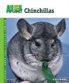 David Alderton - Chinchillas