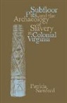 Patricia Samford, Patricia M. Samford - Subfloor Pits and the and the Archaeology of Slavery in Colonial