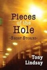 Tony Lindsay - Pieces of the Hole
