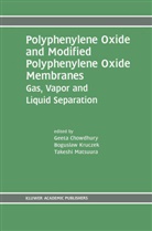 Geeta Chowdhury, Bogusla Kruczek, Boguslaw Kruczek, Takeshi Matsuura - Polyphenylene Oxide and Modified Polyphenylene Oxide Membranes