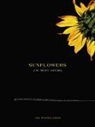Joe Pappalardo - Sunflowers