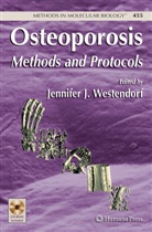 Jennife Westendorf, Jennifer Westendorf, Jennifer J. Westendorf - Osteoporosis